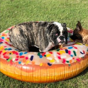 Meet your Posher, Alison